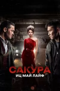   Сакура. Иц май лайф (2024)